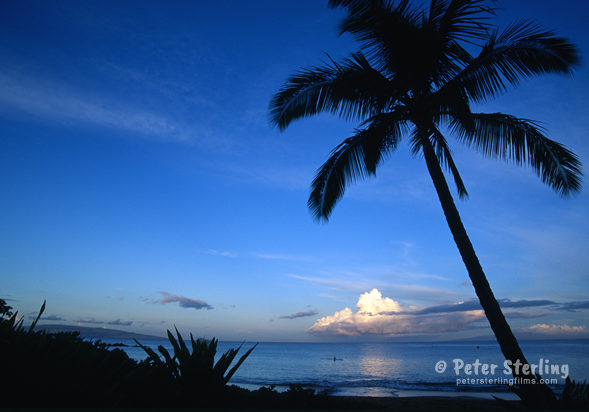 Petersterlingfilms.com_Sunrise_on_Maui600